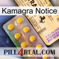 Kamagra Notice new06